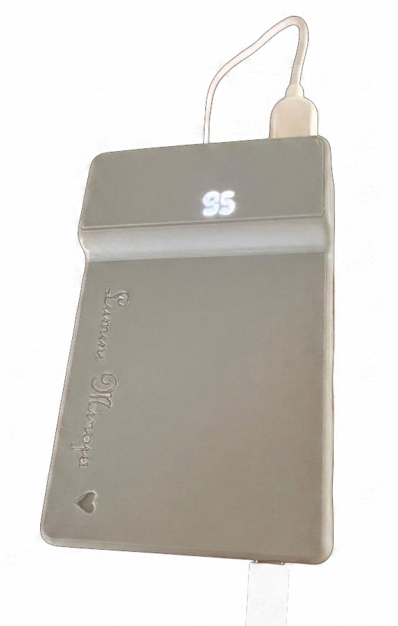Customized power bank